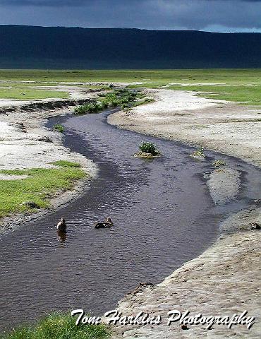 Winding stream in the floor of the crater.jpg